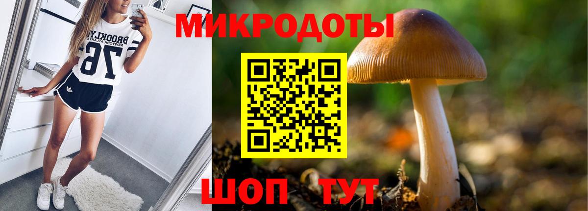 Галлюциногенные грибы Magic Shrooms  Галлюциногенные грибы GOLDEN TEACHER  Вход с VPN  Жигулёвск 